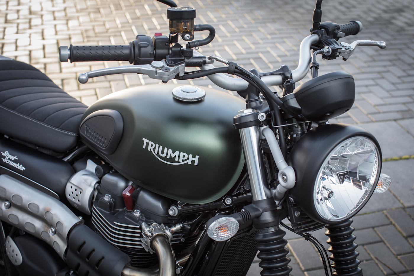 Triumph 110 Scrambler by down and out