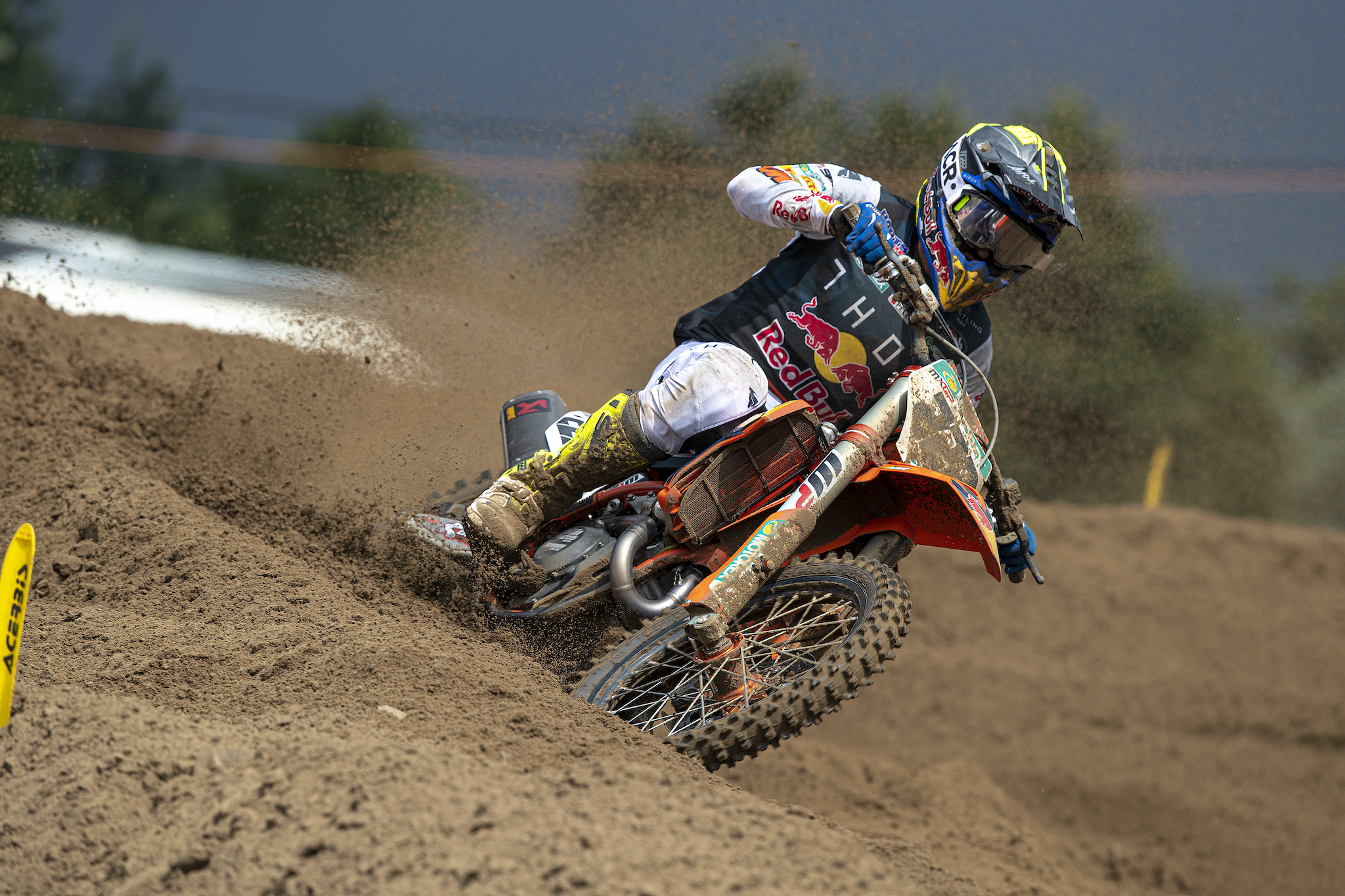 Cairoli