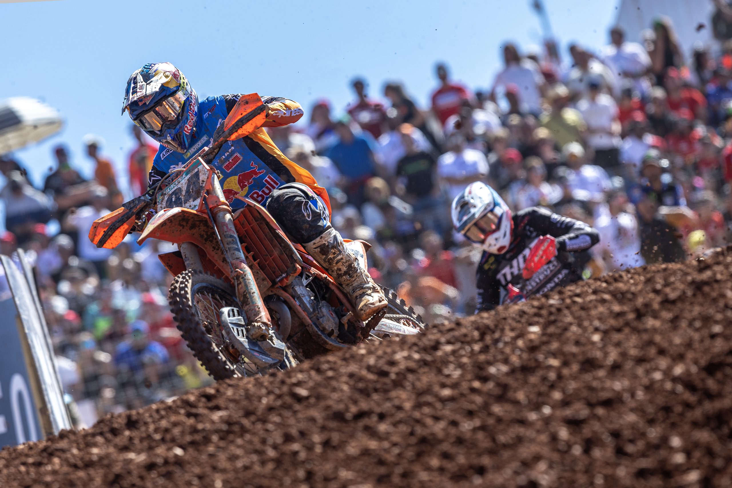 Cozar Herlings finale