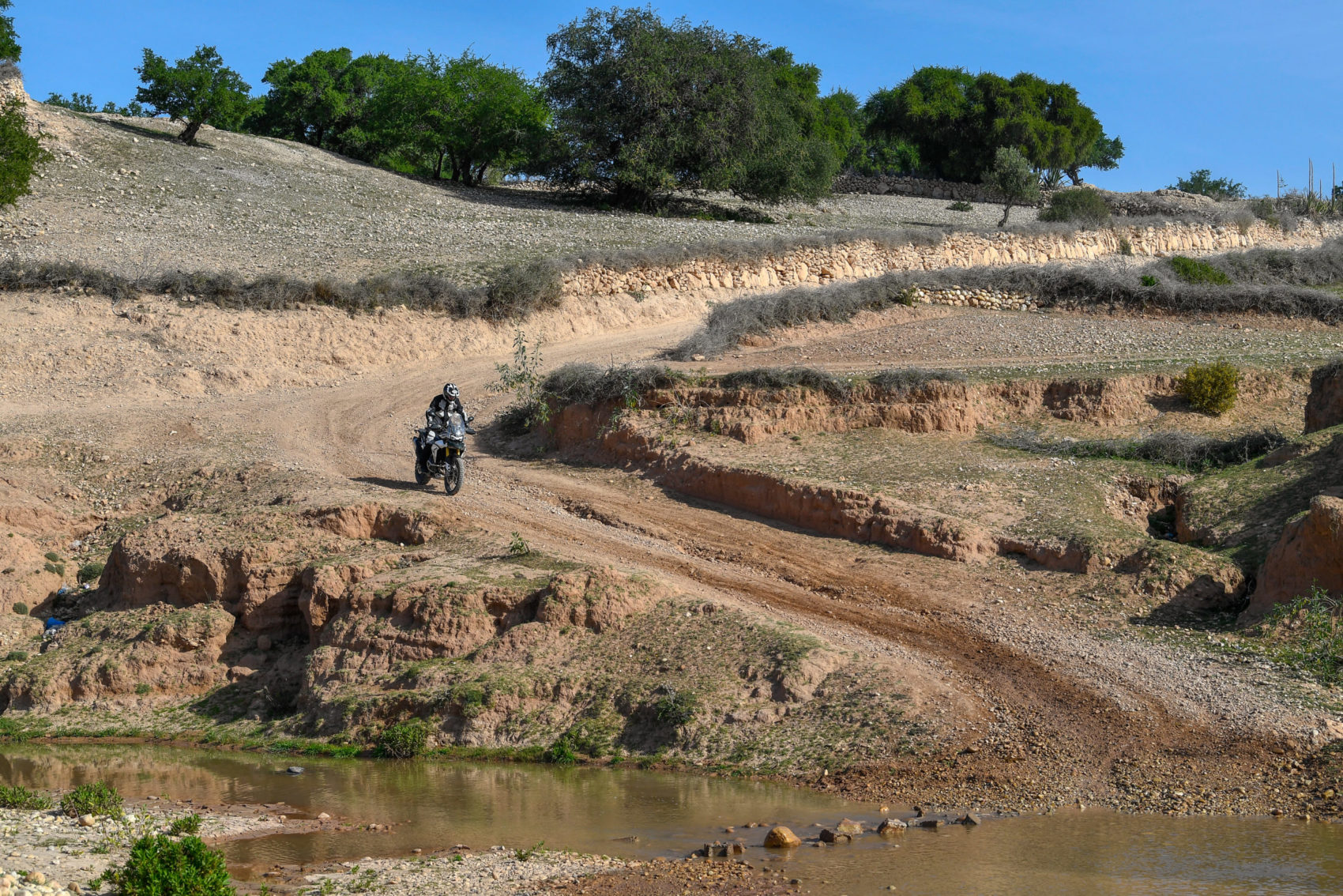 Triumph Tiger 900 Actumoto.ch Mathias Deshusses