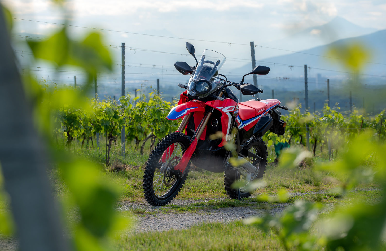 Essai – la Honda CRF 300 Rally dans le terrain - Actu Moto