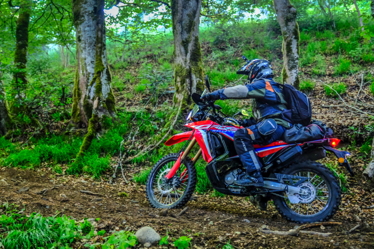 Essai – la Honda CRF 300 Rally dans le terrain - Actu Moto